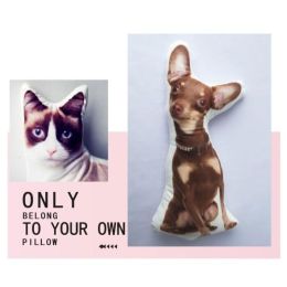 Customize Irregular Pillow Pet Pillow (Option: 50x50-Two sides)