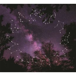 TAP -- Wall Covering Fabric (Option: TAP083-150x170cm)