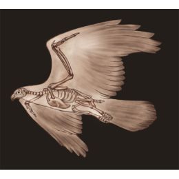 TAP -- Wall Covering Fabric (Option: TAP011-150x170cm)