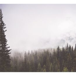 TAP -- Wall Covering Fabric (Option: TAP054-150x170cm)