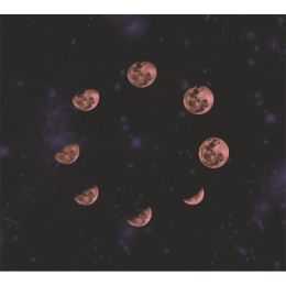 TAP -- Wall Covering Fabric (Option: TAP098-150x170cm)